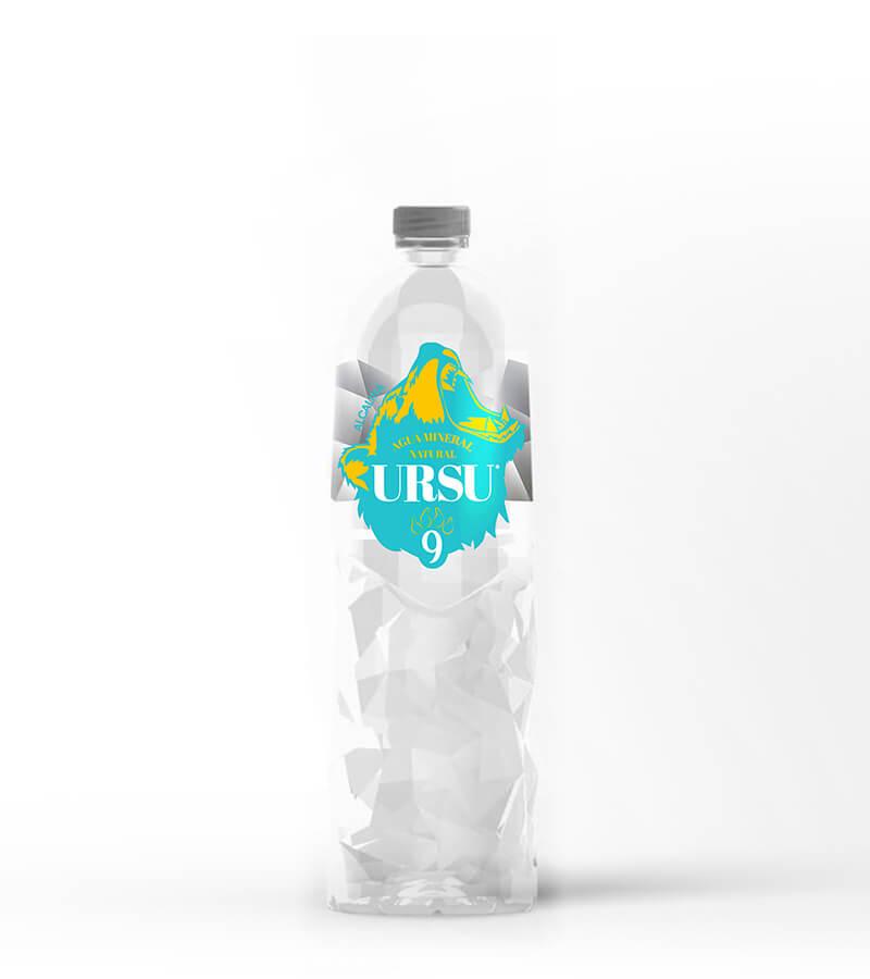 1 L